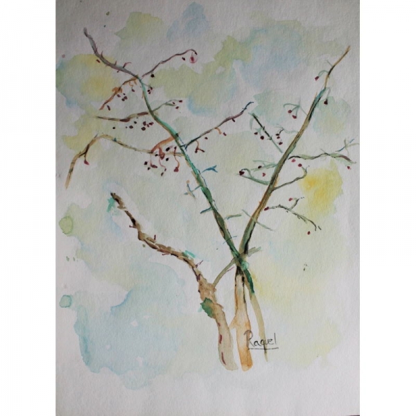 ilustracion-acuarela-arbol-sencillo-24x32