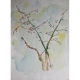 ilustracion-acuarela-arbol-sencillo-24x32