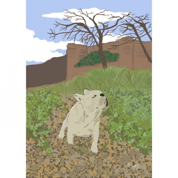 ilustracion-digital-ilustracion-personalizada-perro-parque